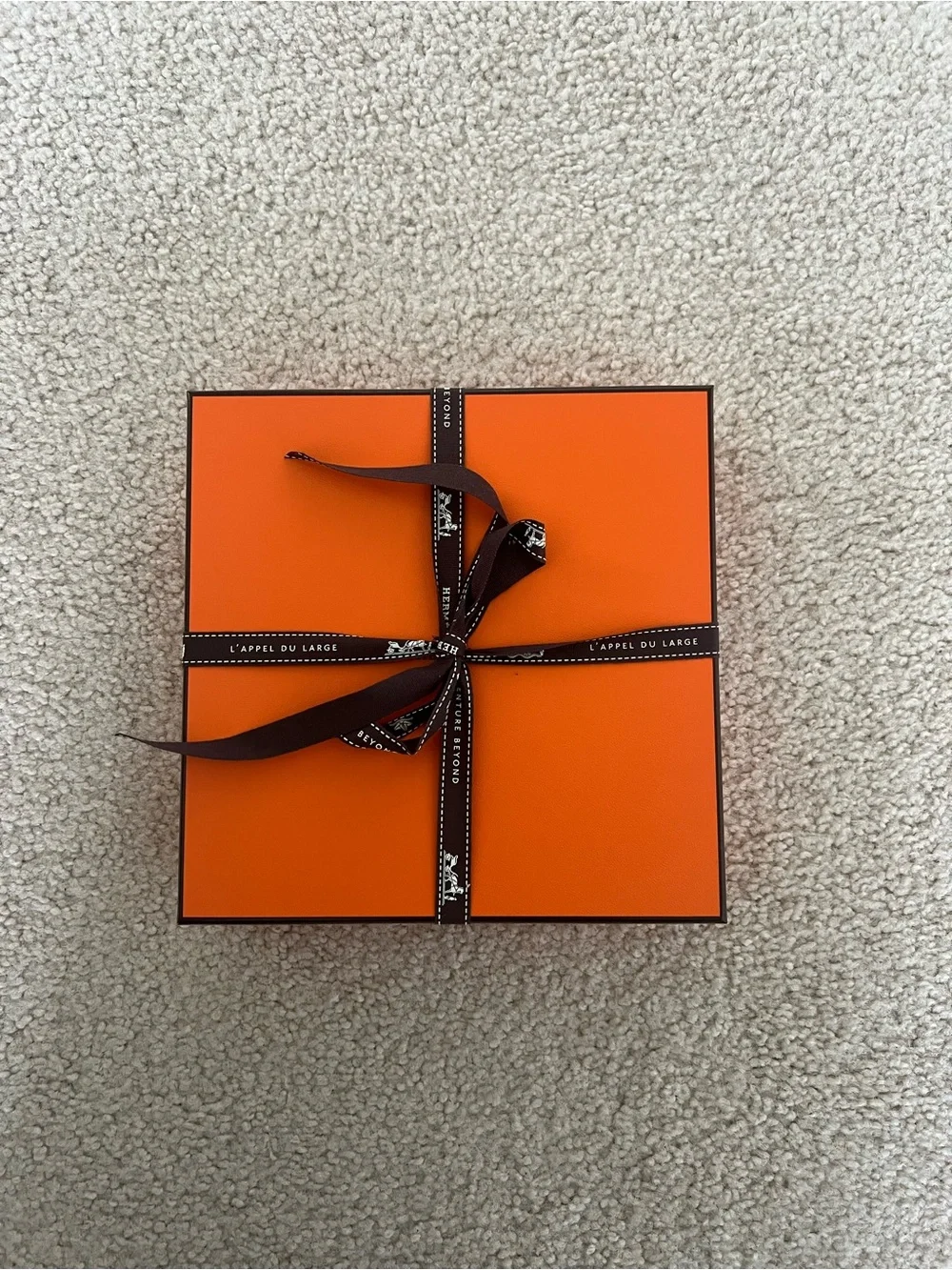 NEW Women’s Hermes Black Kelly Belt with palladium hardware